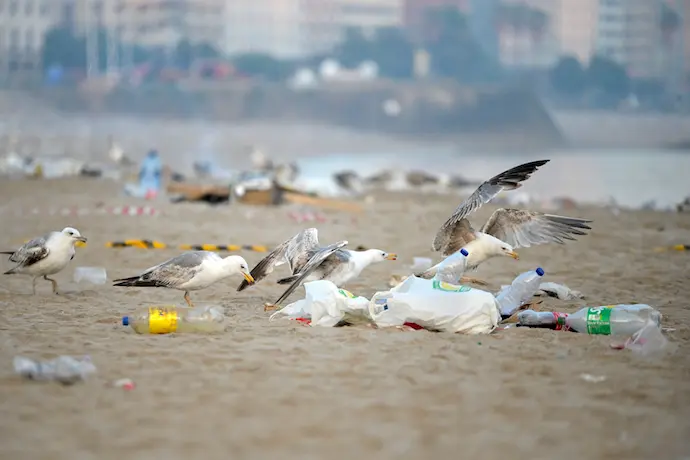 Restos de basura despu&eacute;s de la celebraci&oacute;n de las hogueras de la noche de San Juan. / M. Dylana