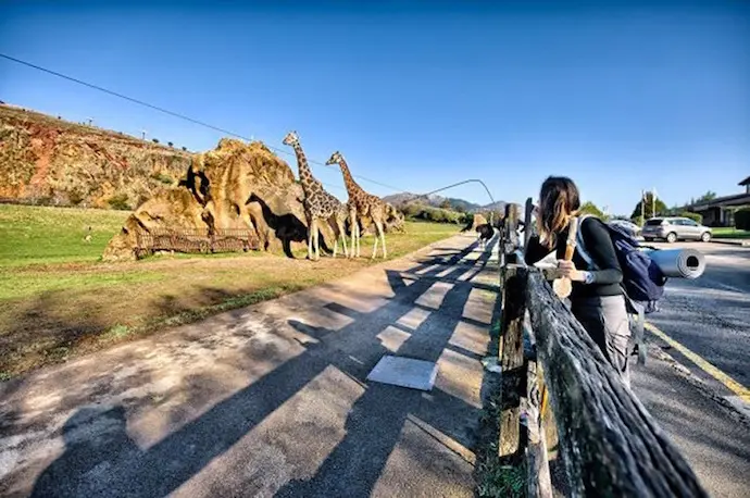 Parque de la Naturaleza de Cab&aacute;rceno. / GC