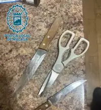 Detenido en M&aacute;laga por amenazar, herir e intentar agredir sexualmente a su compa&ntilde;era de piso. / PLM