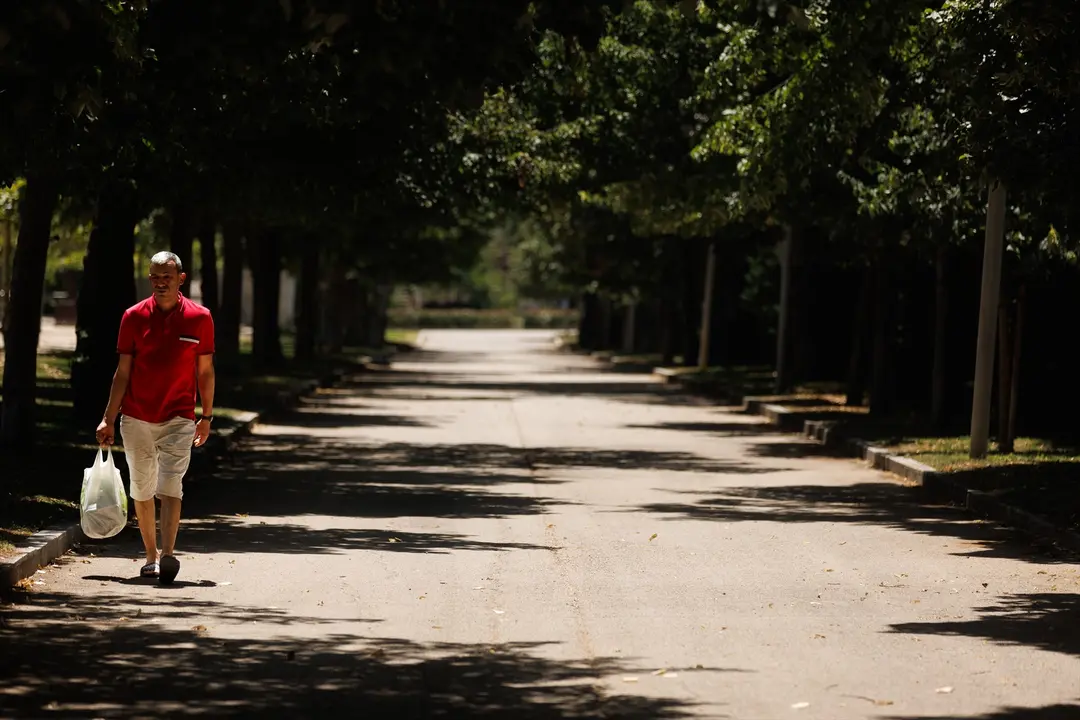 Un hombre paseando por un parque. / EP