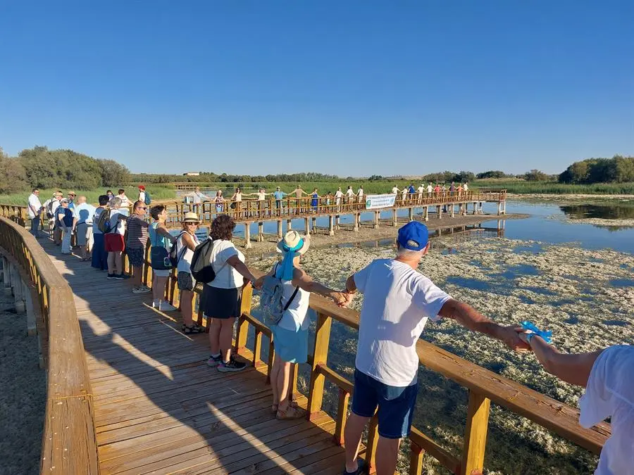 Medio centenar de personas se han congregado en el Parque Nacional de Las Tablas de Daimiel este s&aacute;bado para "abrazar el agua" y denunciar la lamentable situaci&oacute;n en la que se encuentra este emblem&aacute;tico humedal. / Beldad