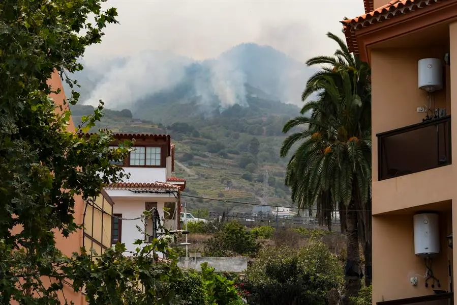 El incendio forestal avanza sin control por once municipios de Tenerife. EFE / Alberto Vald&eacute;s