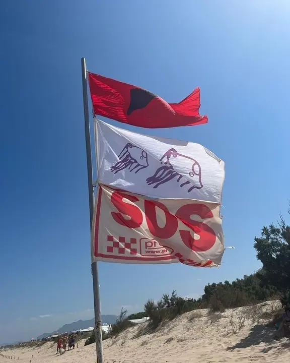 Oliva (Valencia) cerr&oacute; al ba&ntilde;o la playa Rabdells por la presencia de una tintorera. EP / Archivo