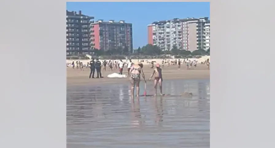 La polic&iacute;a junto al cuerpo en la playa Salv&eacute; de Laredo.