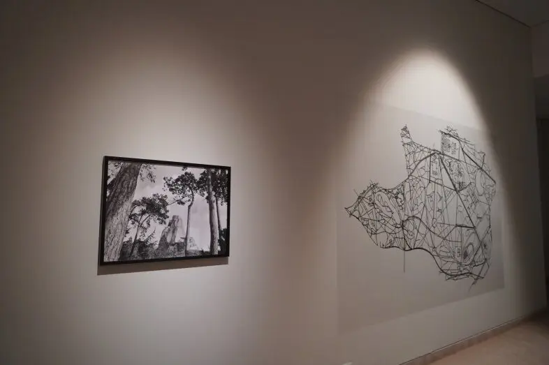 Im&aacute;genes de Mendia Echevarria que participa en PhotoEspa&ntilde;a en el Museo Altamira. EP