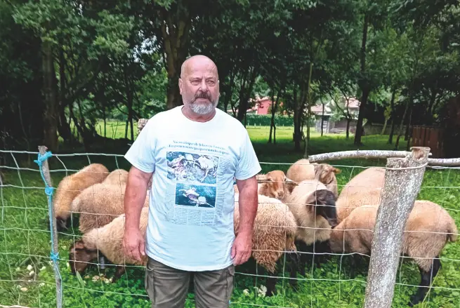 En la foto &lsquo;Espinete&rsquo;, uno de los ganaderos afectados por la inclusi&oacute;n del lobo en LESPRE, junto a su reba&ntilde;o en la localidad de Trece&ntilde;o. / ALERTA