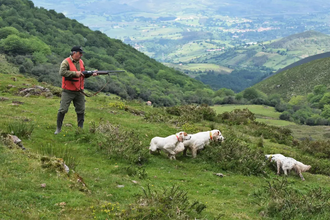 El cazador Jes&uacute;s Lucio Salces en una de sus salidas con sus perros de caza. / ALERTA