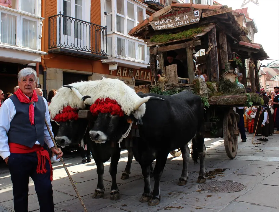 Carreta ganadora del D&iacute;a de Campoo de 2022. / Alerta