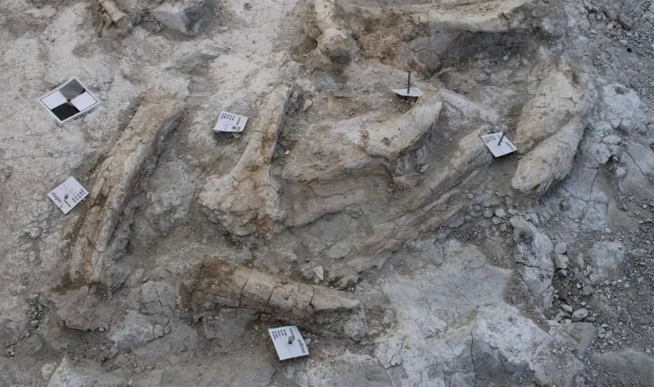 AYUNTAMIENTO DE MADRID
La excavaci&oacute;n comenz&oacute; en marzo de 2023 y se extendi&oacute; hasta agosto.