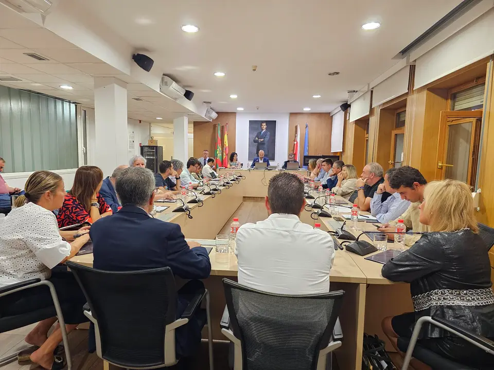 Vista del pleno de este mi&eacute;rcoles. / Alerta