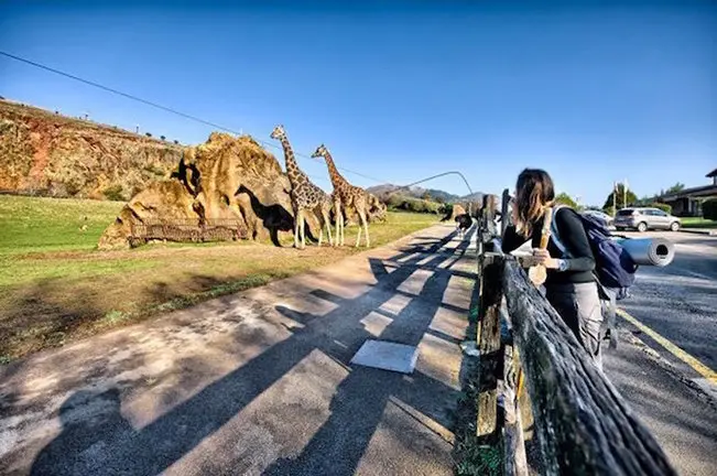 Parque de la Naturaleza de Cab&aacute;rceno. / GC