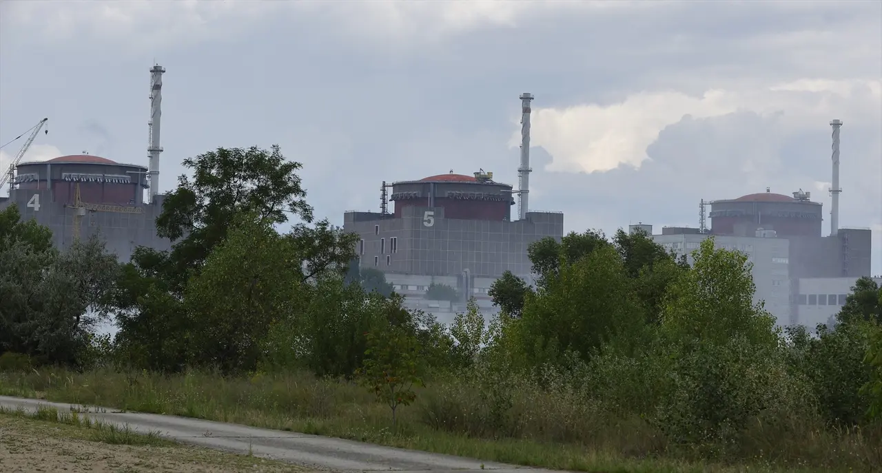 Una planta de energ&iacute;a nuclear. EP