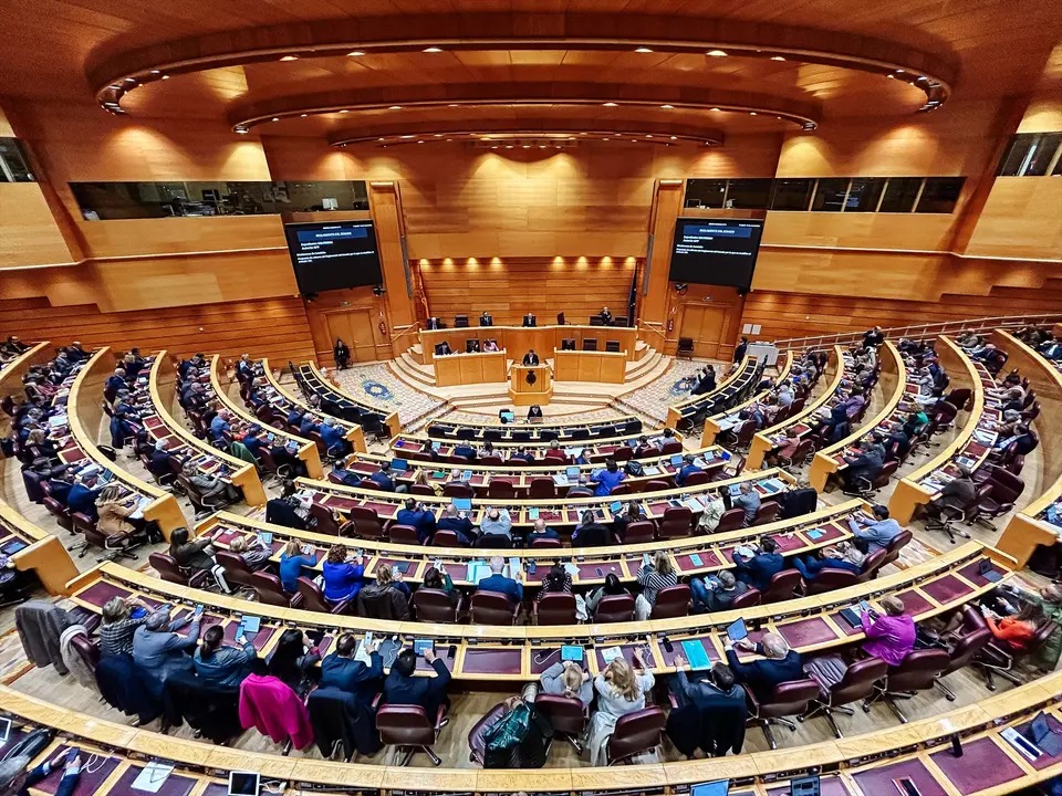 Vista general de una sesi&oacute;n plenaria en el Senado. EP / Carlos Luj&aacute;n