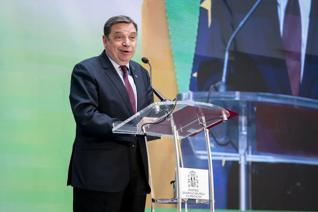 El ministro de Agricultura, Pesca y Alimentaci&oacute;n en funciones, Luis Planas. EP / A. P&eacute;rez Meca