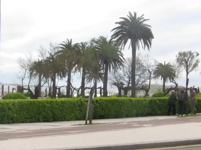 Vista de los Jardines de Piqu&iacute;o. / Alerta