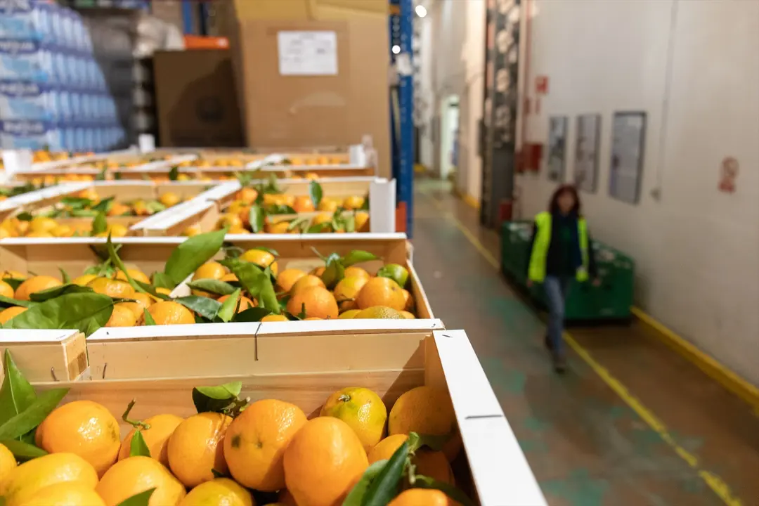 Cajas de mandarinas en un bando de alimentos. / Alerta
