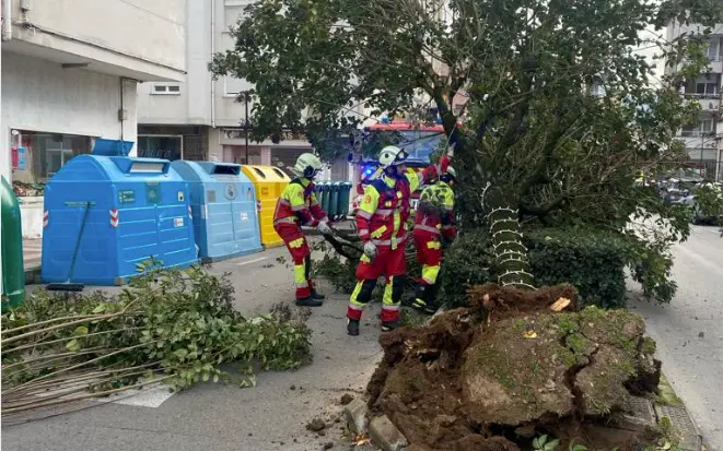Los bomberos trabajando para retirar el &aacute;rbol.