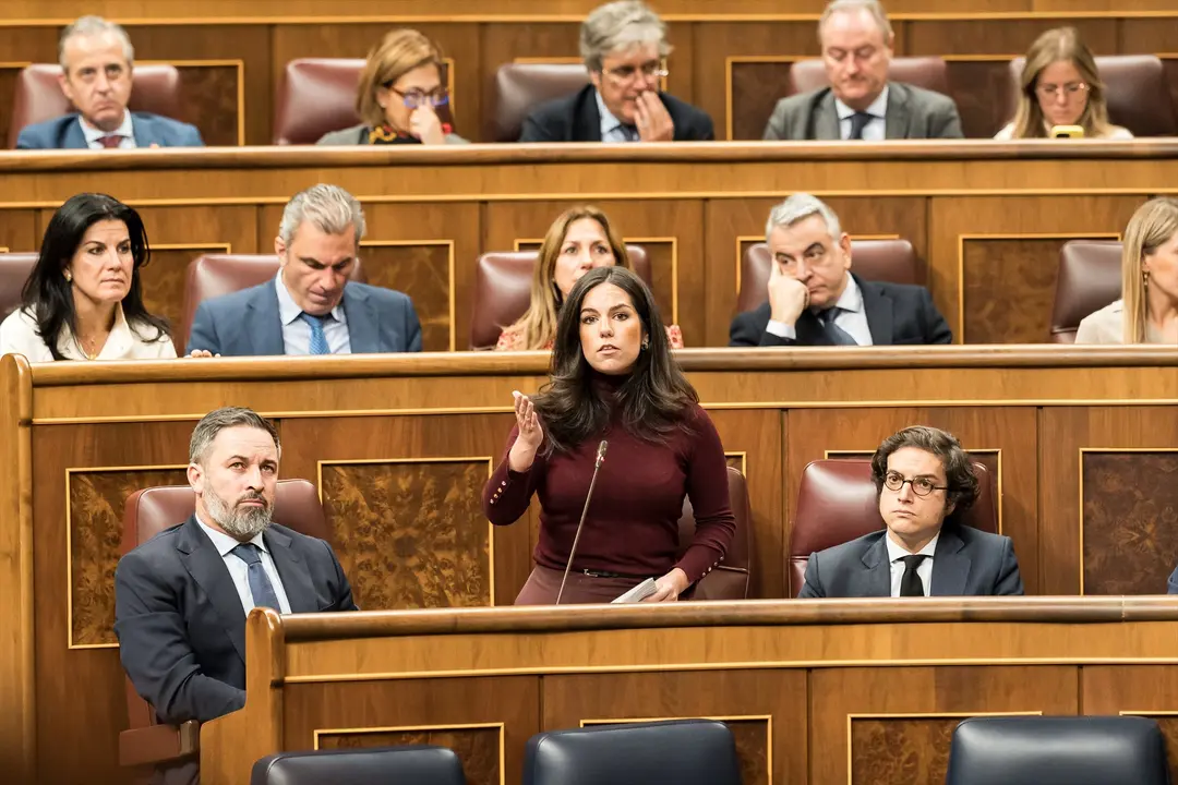 (I-D) El l&iacute;der de Vox, Santiago Abascal; la portavoz de VOX en el Congreso, Pepa Mill&aacute;n y el secretario general de VOX, Jos&eacute; Mar&iacute;a Figaredo, durante un pleno en el Congreso de los Diputados. EP / Diego Radam&eacute;s