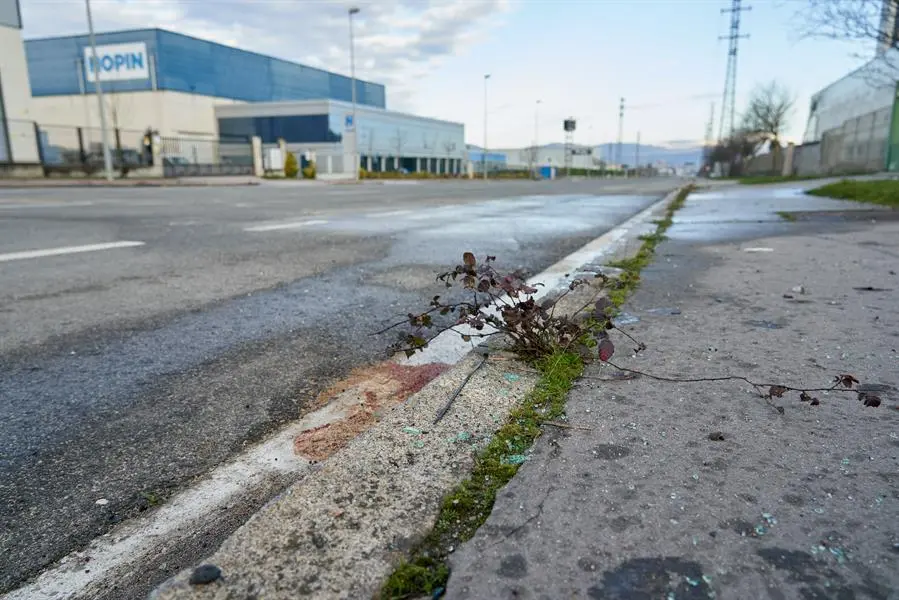 Dos j&oacute;venes de 18 y 21 a&ntilde;os han fallecido este s&aacute;bado en una colisi&oacute;n entre dos veh&iacute;culos ocurrida en el pol&iacute;gono industrial de J&uacute;ndiz, en Vitoria. EFE/ L. Rico