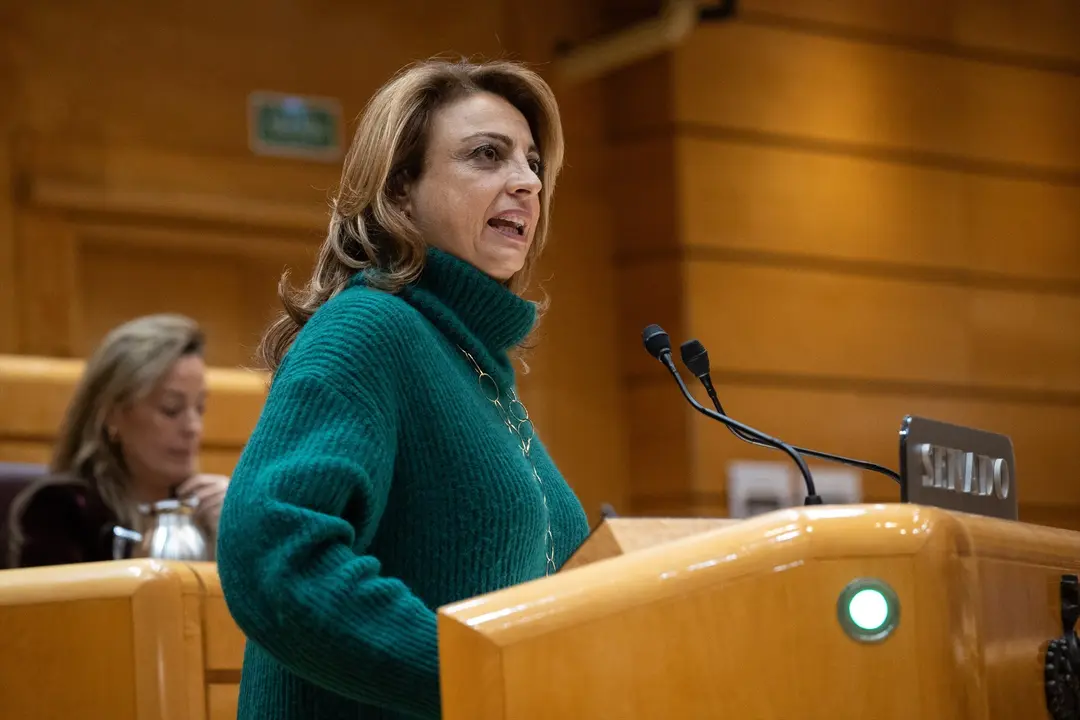 La diputada de Coalici&oacute;n Canaria, Cristina Valido, interviene durante el pleno del Congreso. EP / Alejandro Mart&iacute;nez V&eacute;lez