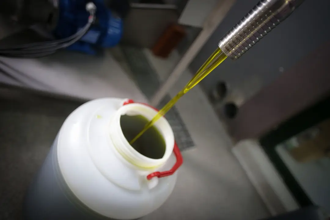 Aceite de primer prensado en fr&iacute;o tras el primer filtrado durante el comienzo de la temporada del aceite. EP / Carlos Castro