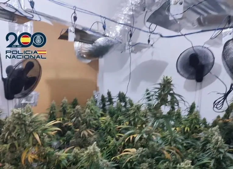Interior de una de las habitaciones que usaba el matrimonio para cultivar marihuana. / EP