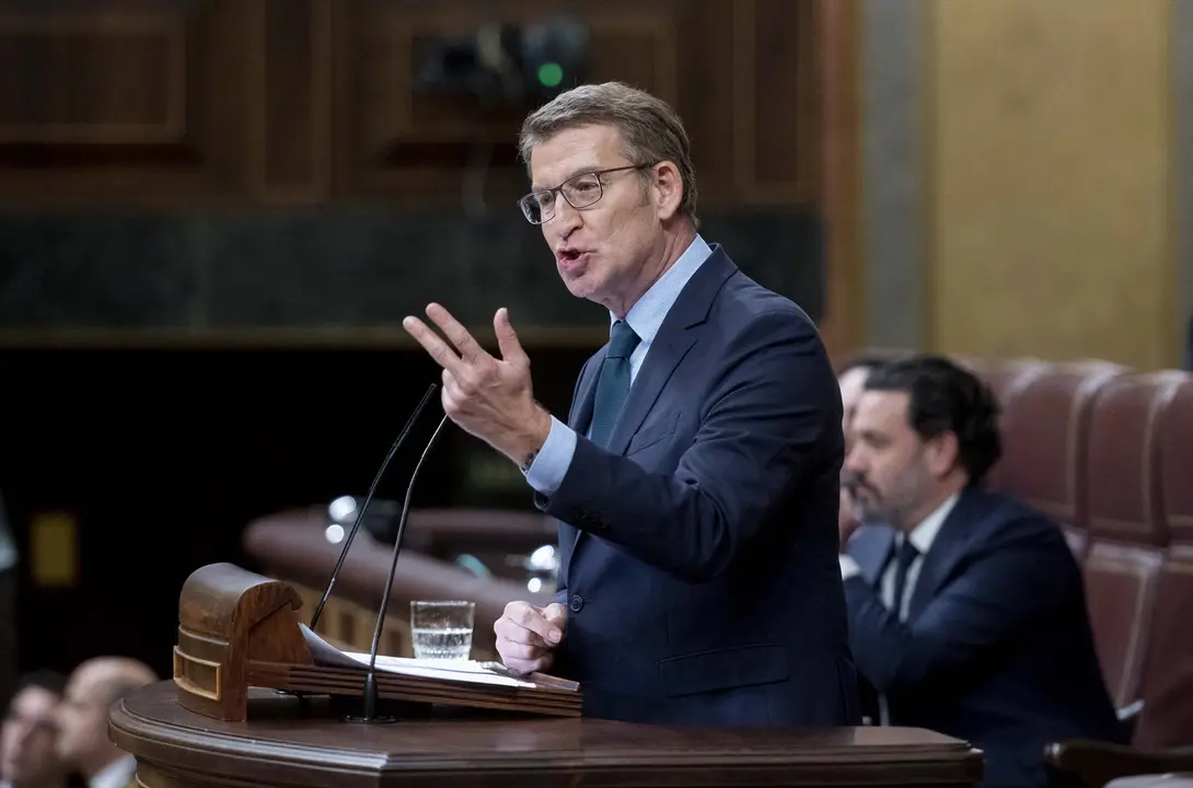 El presidente del Partido Popular, Alberto N&uacute;&ntilde;ez Feij&oacute;o, interviene durante una sesi&oacute;n plenaria, en el Congreso de los Diputados. EP / Alberto Ortega