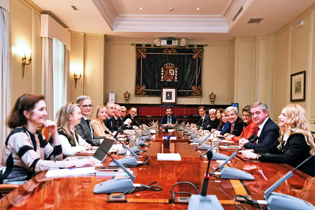 Imagen de un pleno extraordinario del Consejo General del Poder Judicial (CGPJ) por los ataques de pol&iacute;ticos a jueces en el Congreso de los Diputados. / EP