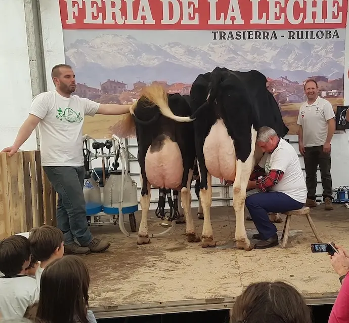 16reg11ruiloba Feria La Leche en Trasierra