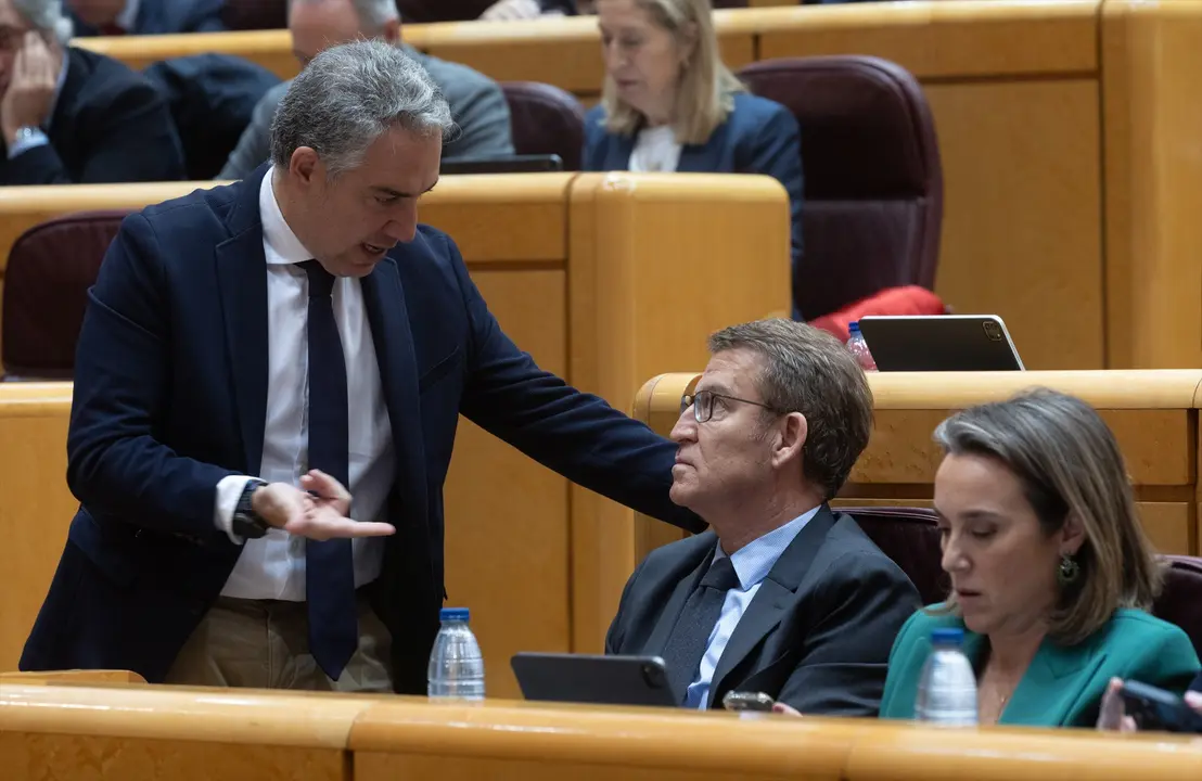 El coordinador general del PP, El&iacute;as Bendodo (i), habla con el presidente del Partido Popular, Alberto N&uacute;&ntilde;ez Feij&oacute;o (d), durante la sesi&oacute;n extraordinaria del Congreso, en el Palacio del Senado. EP / Eduardo Parra / Archivo
