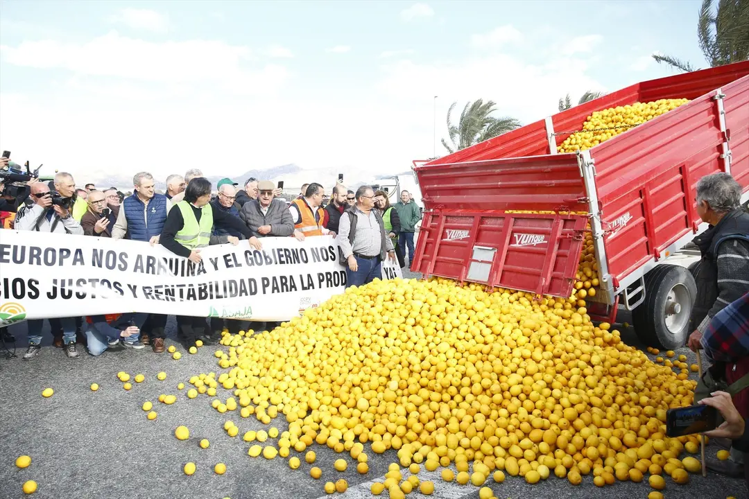 Agricultores y ganaderos sostienen pancartas frente a un centenar de limones en el suelo en una manifestaci&oacute;n. EP / Joaqu&iacute;n Reina