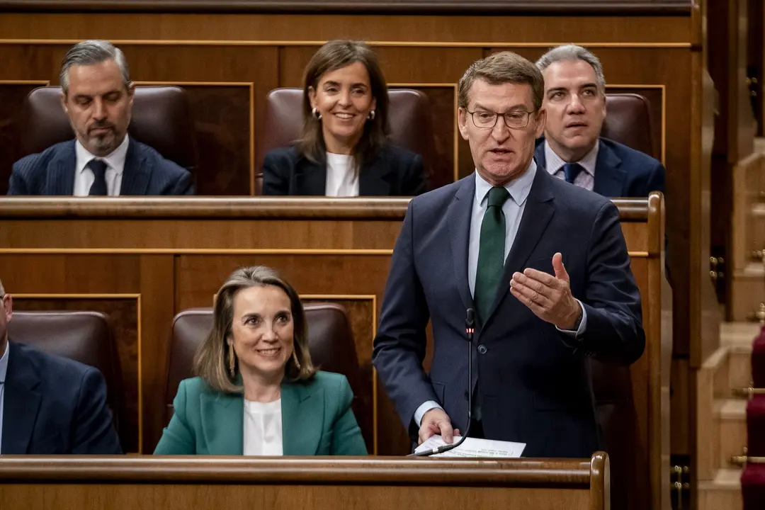 El presidente nacional del PP, Alberto N&uacute;&ntilde;ez Feij&oacute;o, interviene durante la sesi&oacute;n plenaria en el Congreso de los Diputados. EP / A. P&eacute;rez Meca