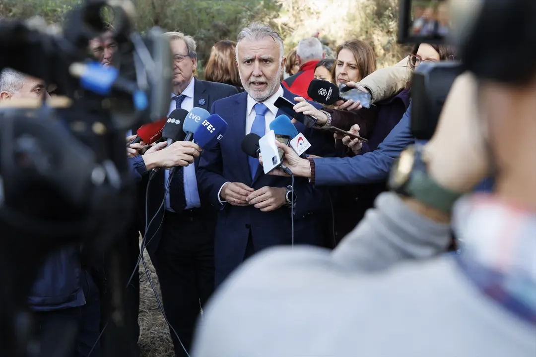 El ministro &Aacute;ngel V&iacute;ctor Torres atiende a los medios. EP