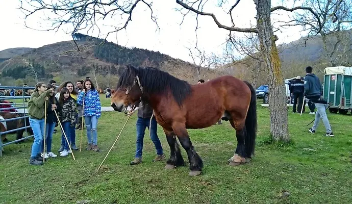 J&oacute;venes admirando un caballo en la Feria de San Jos&eacute; en Ruente, 2018, capturando un momento de conexi&oacute;n entre humanos y animales en esta celebraci&oacute;n tradicional que refleja la rica cultura y la pasi&oacute;n ecuestre de la regi&oacute;n. / A.E.