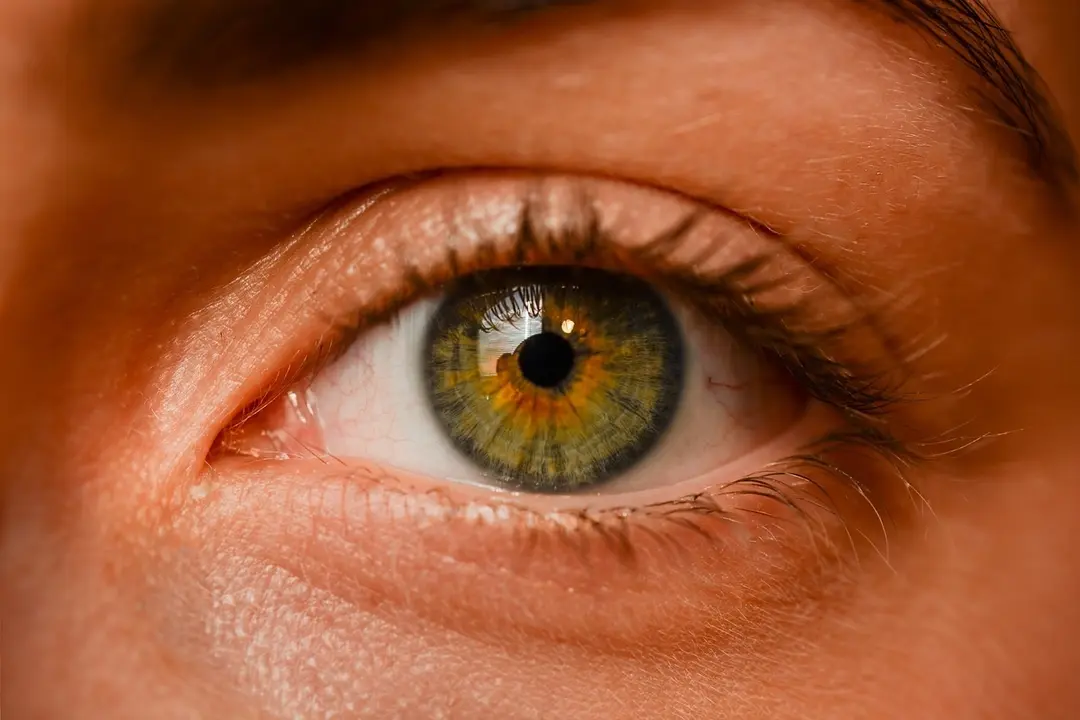 El ojo de una persona. EP