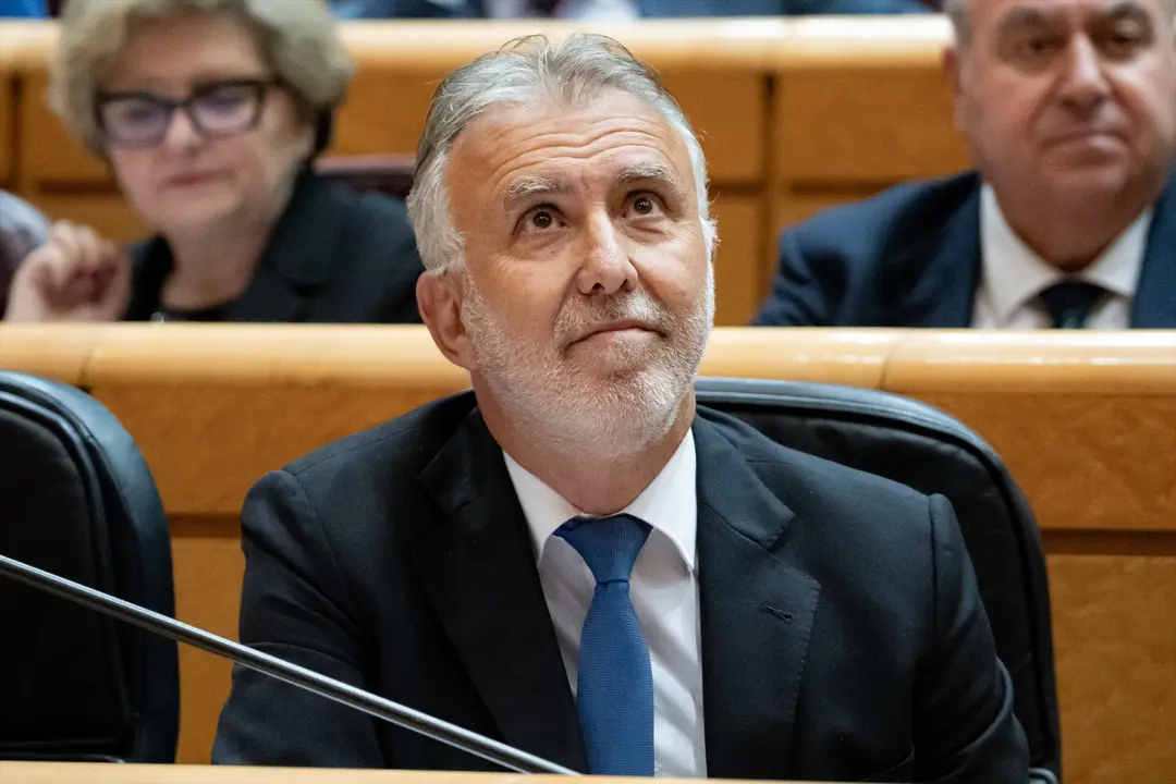 El ministro de Pol&iacute;tica Territorial y Memoria Democr&aacute;tica, &Aacute;ngel V&iacute;ctor Torres, durante una sesi&oacute;n plenaria del Senado. EP / Diego Radam&eacute;s