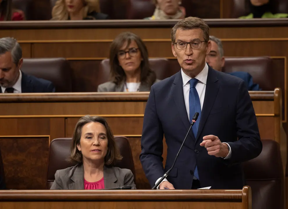 El l&iacute;der del PP, Alberto N&uacute;&ntilde;ez Feij&oacute;o, interviene durante una sesi&oacute;n de control al Gobierno.