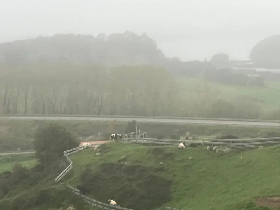La niebla ha sido protagonista durante el d&iacute;a en la regi&oacute;n. / S.D.