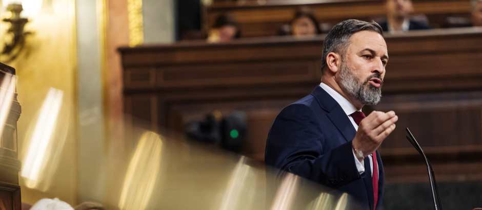 Santiago Abascal interviene durante una sesi&oacute;n plenaria. / EP