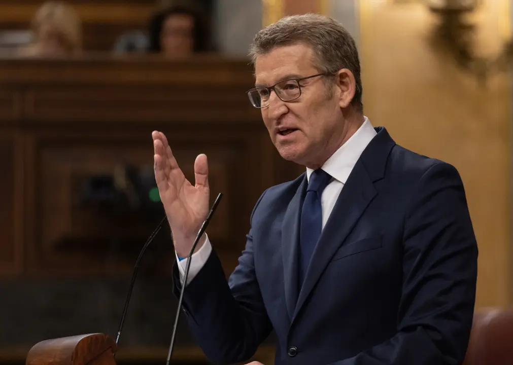 El l&iacute;der del PP, Alberto N&uacute;&ntilde;ez Feij&oacute;o, interviene durante una sesi&oacute;n plenaria, en el Congreso de los Diputados. Eduardo Parra