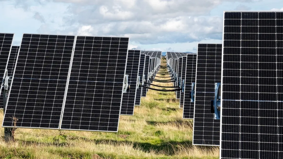 Varias placas solares. EP