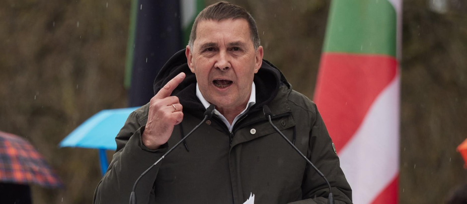 El coordinador general de Bildu, Arnaldo Otegi. / EP