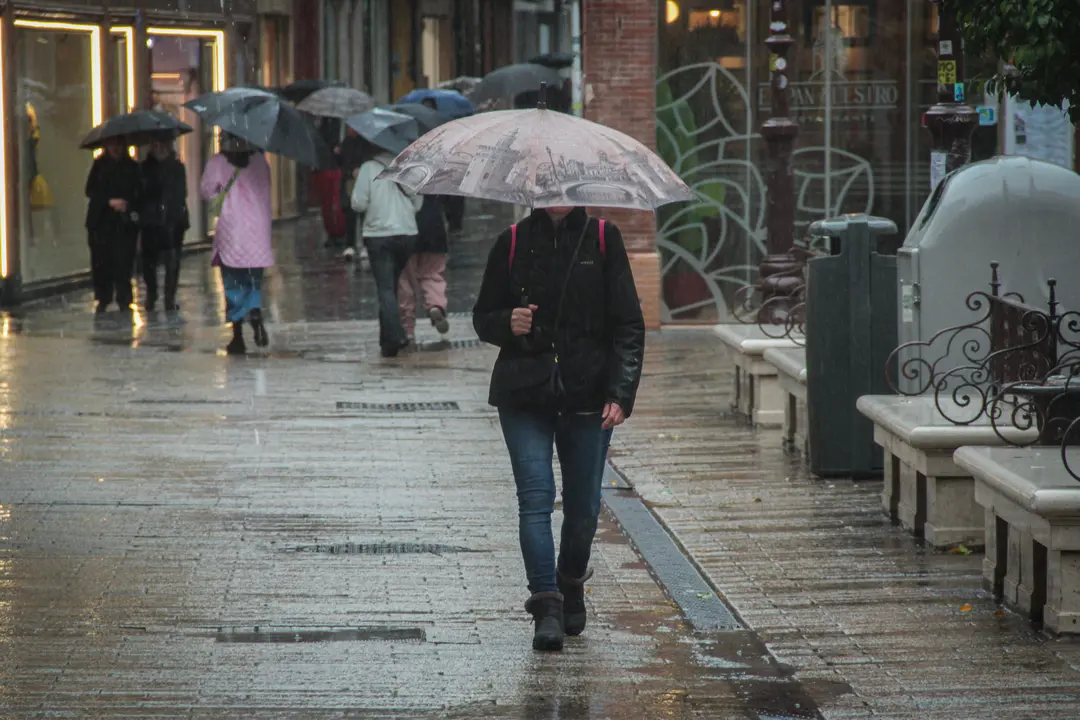 Varias personas se protegen de la lluvia bajo sus paraguas. / Mar&iacute;a Jos&eacute; L&oacute;pez