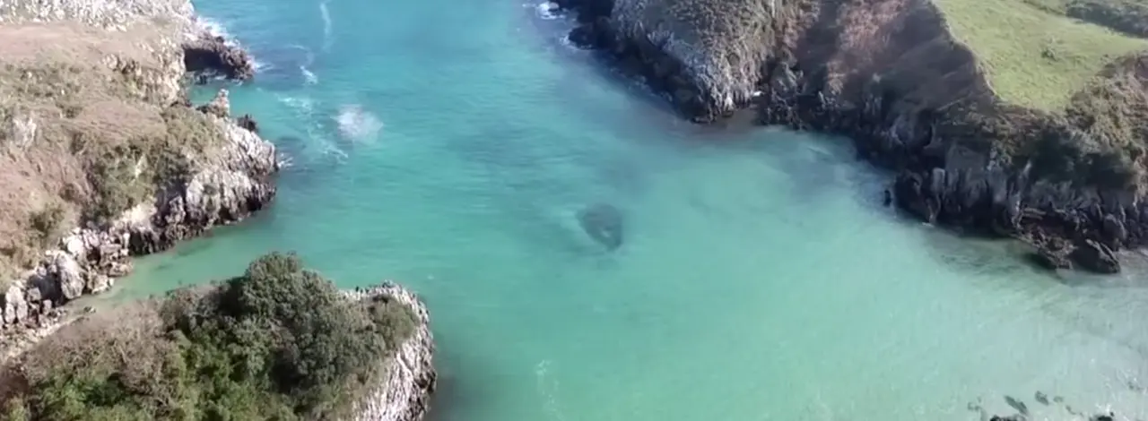 El tesoro natural de Cantabria. / Alerta
