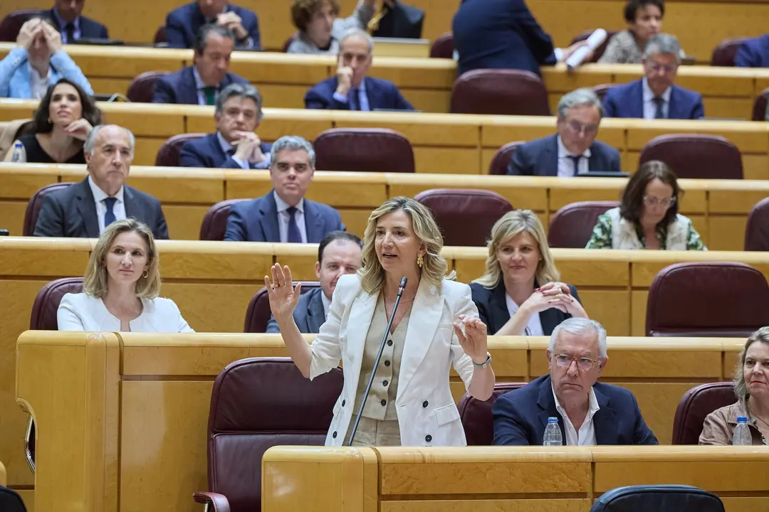La portavoz del Partido Popular en el Senado, Alicia Garc&iacute;a Rodr&iacute;guez, interviene durante una sesi&oacute;n de Control en el Senado. Jes&uacute;s Hell&iacute;n / Archivo