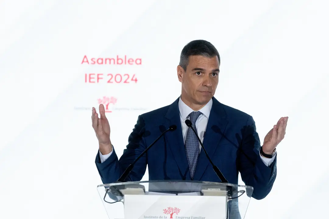 El presidente del Gobierno, Pedro S&aacute;nchez. / Alerta