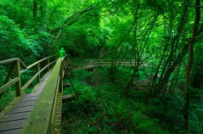 A trav&eacute;s de estos senderos conocer&aacute;s los paisajes m&aacute;s bonitos de Cantabria. / A.S.
