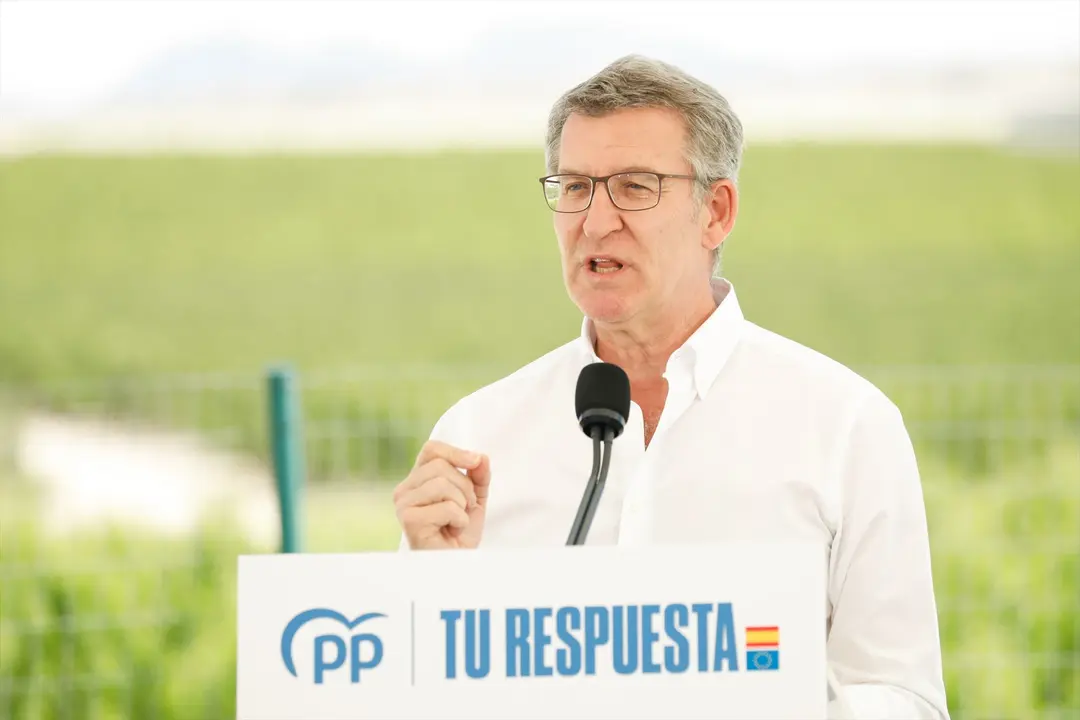 El presidente del Partido Popular, Alberto N&uacute;&ntilde;ez Feij&oacute;o, interviene durante un acto del Partido Popular. Edu Botella