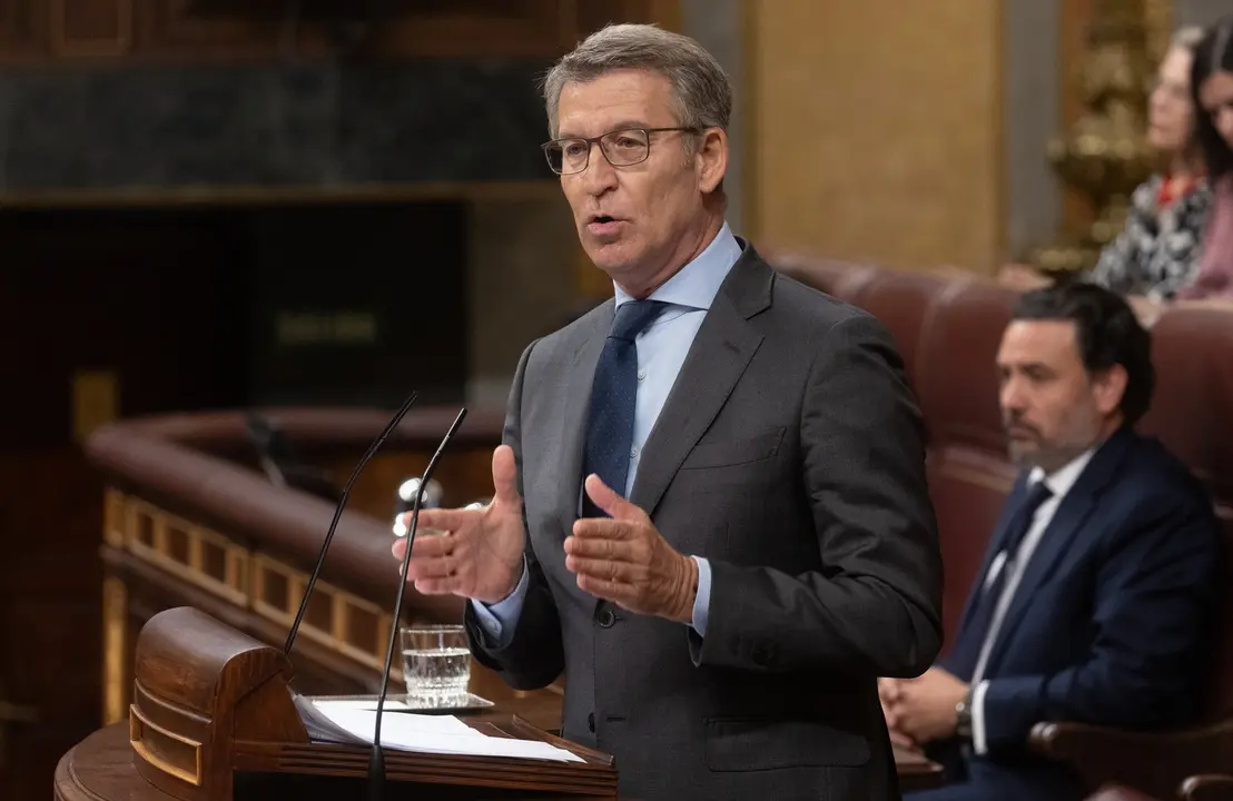 El l&iacute;der del PP, Alberto N&uacute;&ntilde;ez Feij&oacute;o, interviene durante un pleno en el Congreso de los Diputados. Eduardo Parra