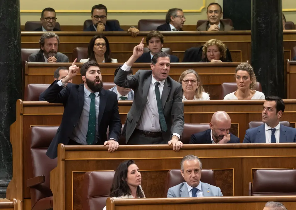 Los diputados de VOX Manuel Mariscal (i) y Pedro Fern&aacute;ndez (d) responden a un diputado del PSOE, durante un pleno en el Congreso de los Diputados. Eduardo Parra